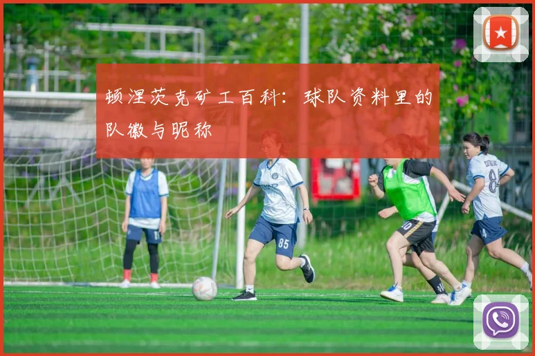 顿涅茨克矿工百科:球队资料里的队徽与昵称